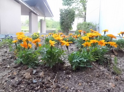 t2015.5.22 1.jpg